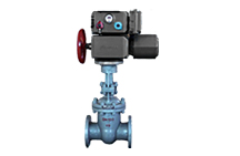 Electric gate valve