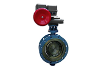 Electric adjustable eccentric butterfly valve
